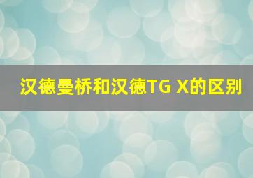 汉德曼桥和汉德TG X的区别